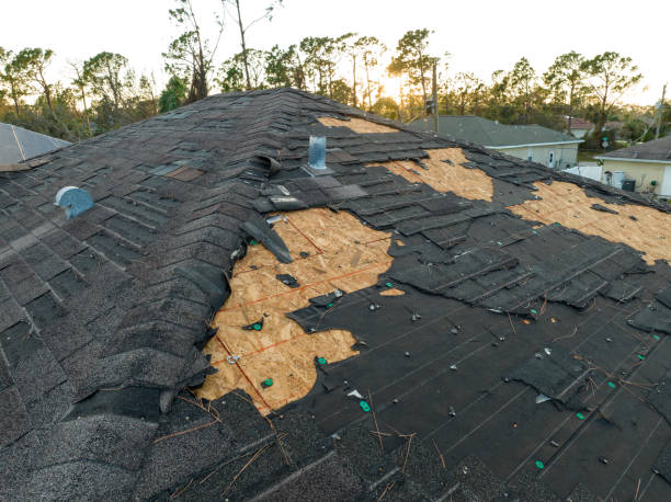 Reliable St Paul, VA Roofing service Solutions